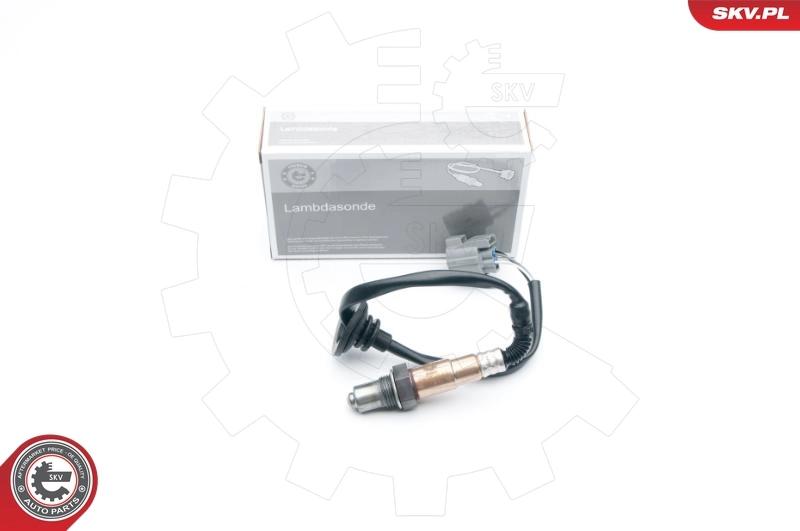 Oxygen Sensor